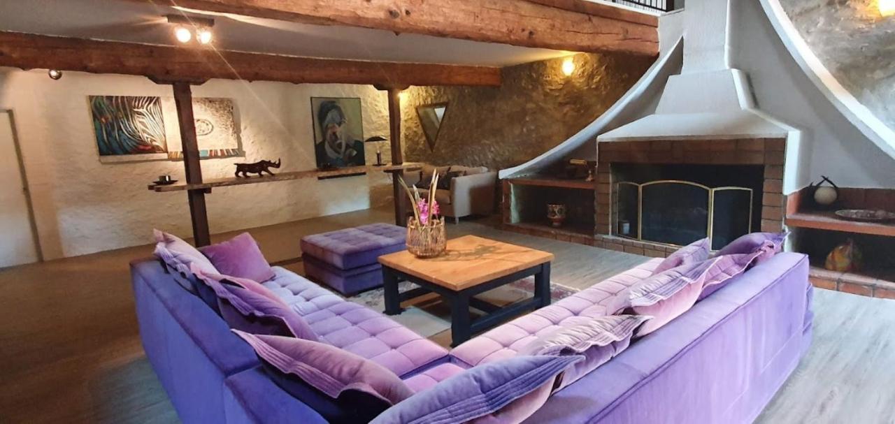 Gite De 420 Metres Carres Dans Chateau L'Ange Au Violon Jusqu'A 13 Couchages Conques-sur-Orbiel Екстер'єр фото