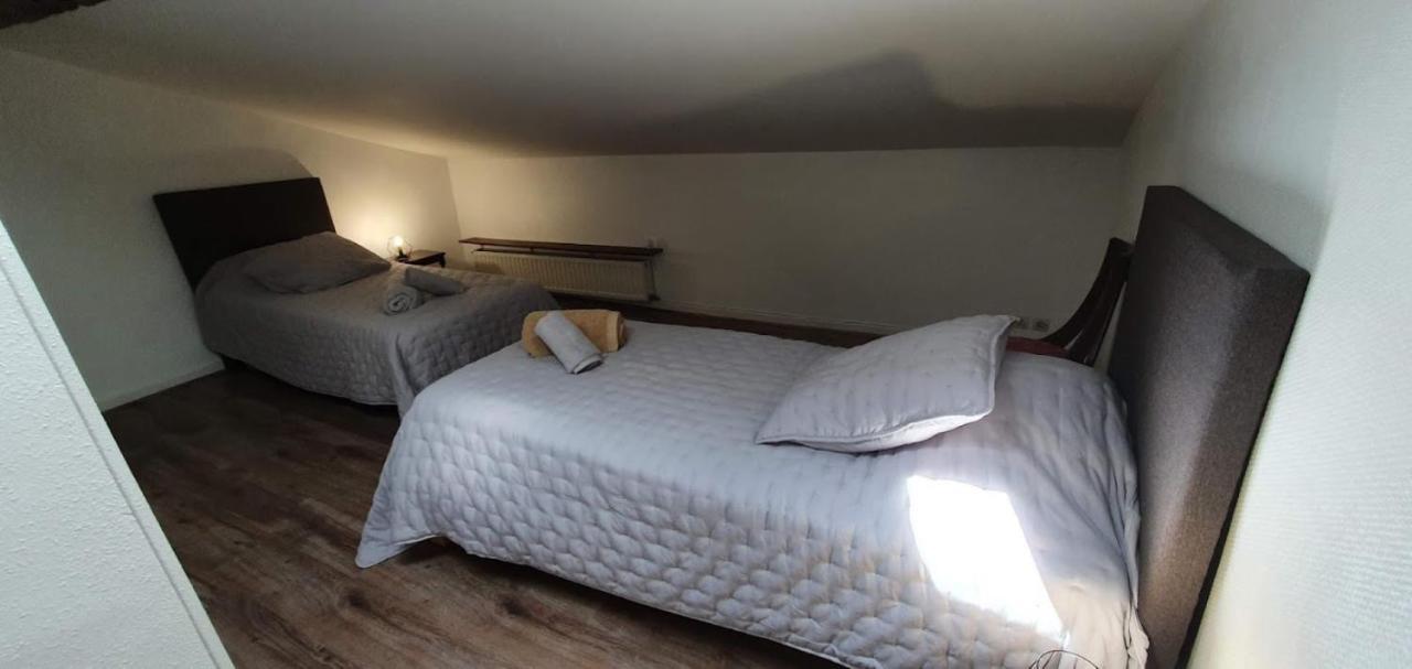 Gite De 420 Metres Carres Dans Chateau L'Ange Au Violon Jusqu'A 13 Couchages Conques-sur-Orbiel Екстер'єр фото
