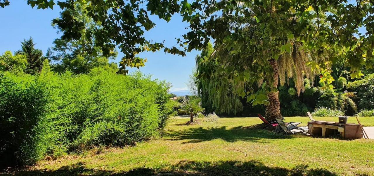 Gite De 420 Metres Carres Dans Chateau L'Ange Au Violon Jusqu'A 13 Couchages Conques-sur-Orbiel Екстер'єр фото